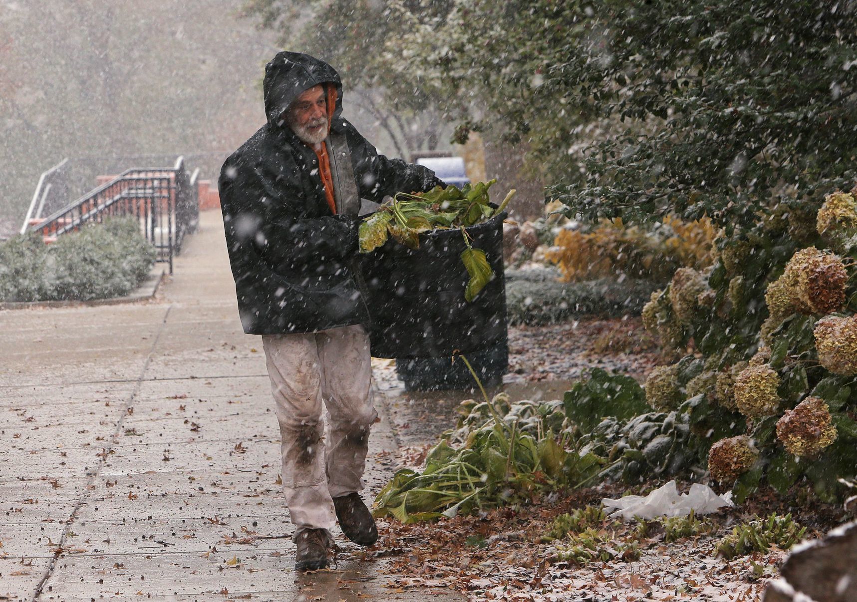 First snow covers the Zoo
